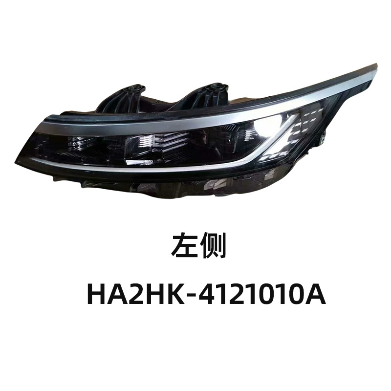 BYD Destroyer 05 Headlight LED Assembly 4121010AHA2HK (Left/Right)