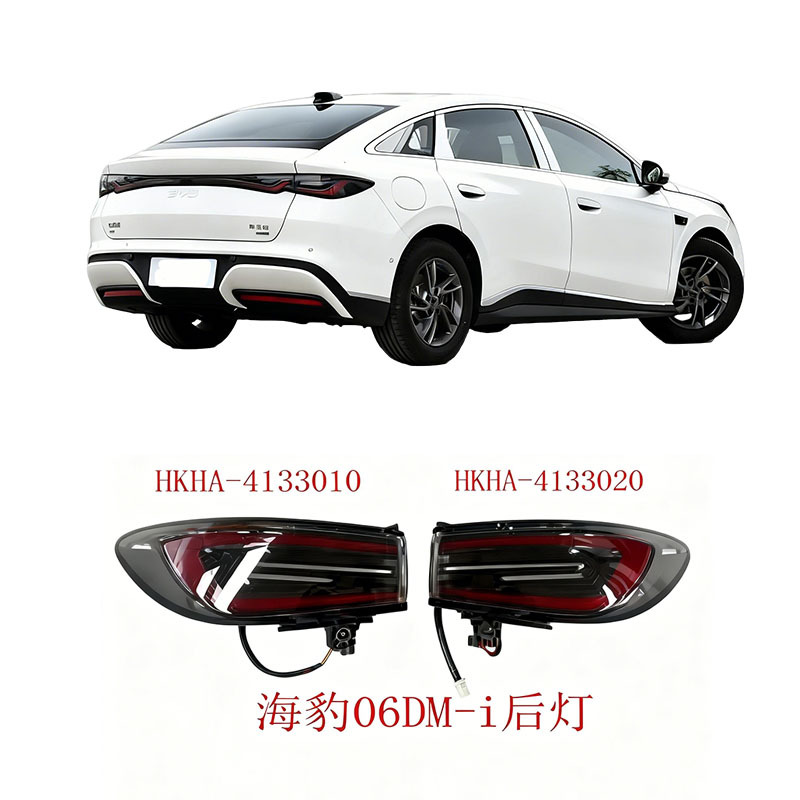 BYD tail lamp assembly HKHA-4133010 left HKHA-413